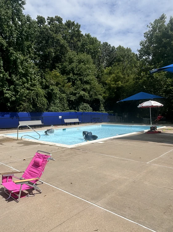 When Should You Repair or Replace a PVC Pool Membrane?