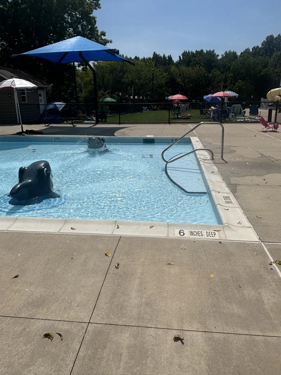 South Shore Swimming Club - Staten Island, NY