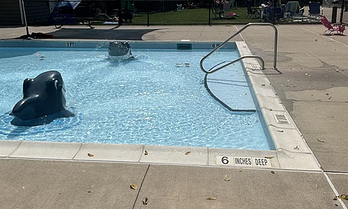 South Shore Swimming Club - Staten Island, NY